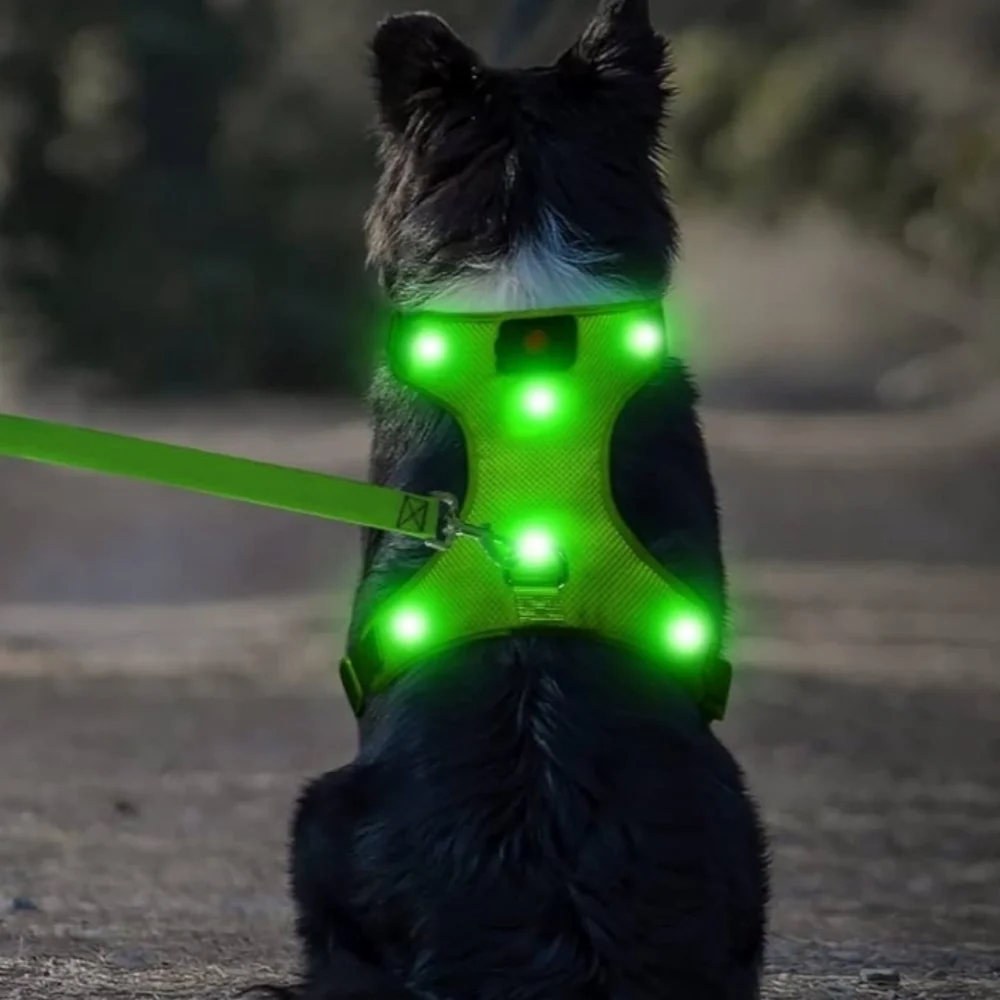 Flashseen LED USB Rechargeable Dog Harness In Neon Green Size M